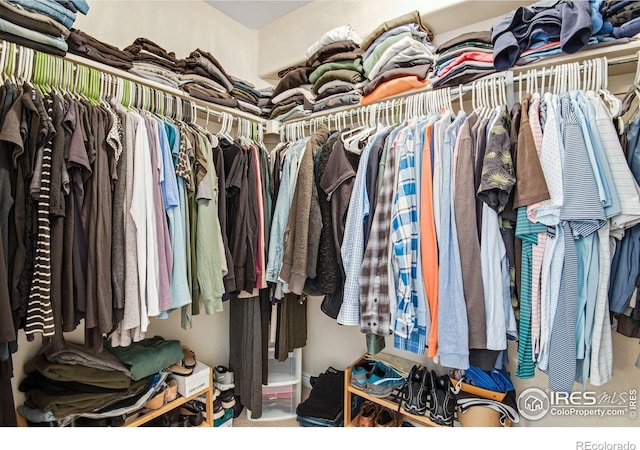 view of spacious closet