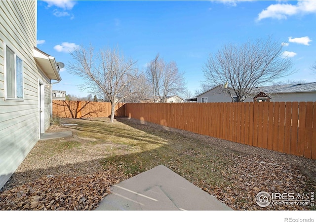 view of yard featuring a fenced backyard and a patio area