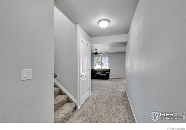 5462 Hammond Dr, Colorado Springs, CO 80915 - photo 4