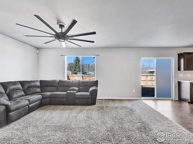 5462 Hammond Dr, Colorado Springs, CO 80915 - photo 6