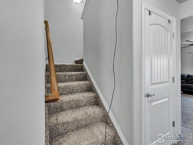 5462 Hammond Dr, Colorado Springs, CO 80915 - photo 12