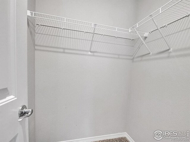 5462 Hammond Dr, Colorado Springs, CO 80915 - photo 17