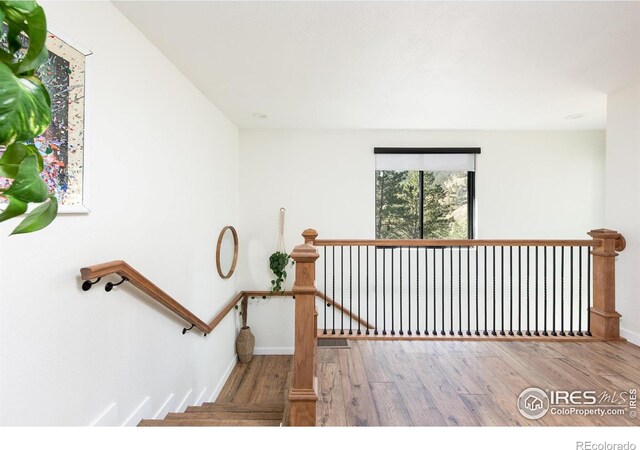 93 Pine Needle Rd, Boulder, CO 80304 - photo 15