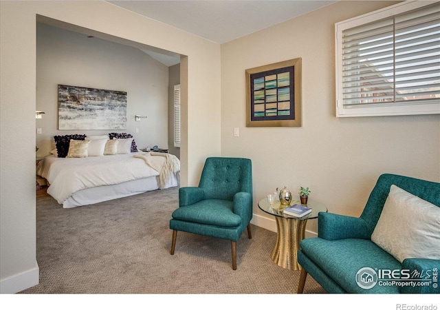 bedroom with baseboards and carpet flooring