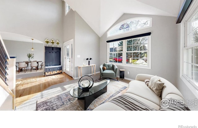 living area featuring baseboards, arched walkways, high vaulted ceiling, and wood finished floors