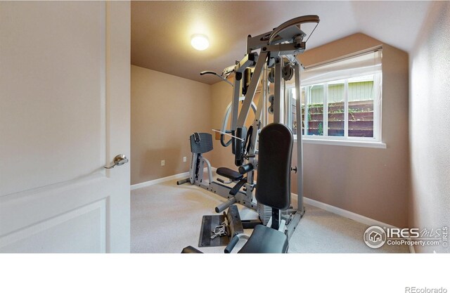 workout room featuring baseboards and carpet