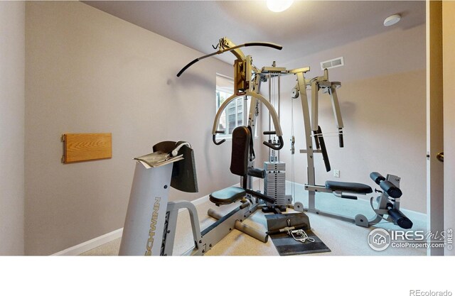 exercise room with baseboards and carpet flooring