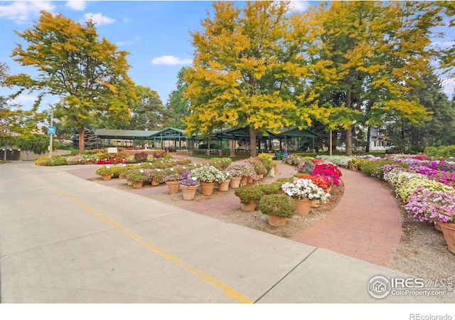 1208 Briarwood Rd, Fort Collins, CO 80521 - view of home's community