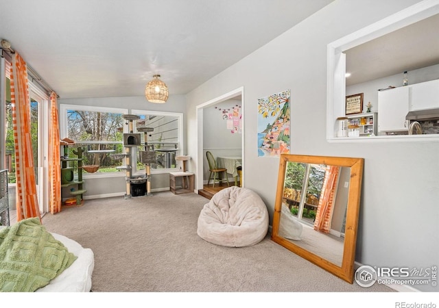1208 Briarwood Rd, Fort Collins, CO 80521 - living area featuring plenty of natural light, carpet floors, and lofted ceiling