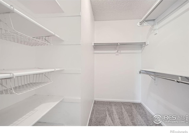 7720 W 87th Dr Unit N, Arvada, CO 80005 - photo 23