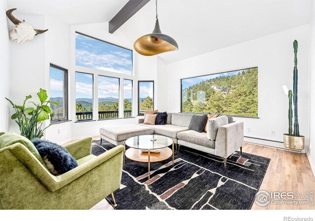319 S Peak Rd, Boulder, CO 80302 - living area with beam ceiling, wood finished floors, high vaulted ceiling, baseboards, and a baseboard heating unit