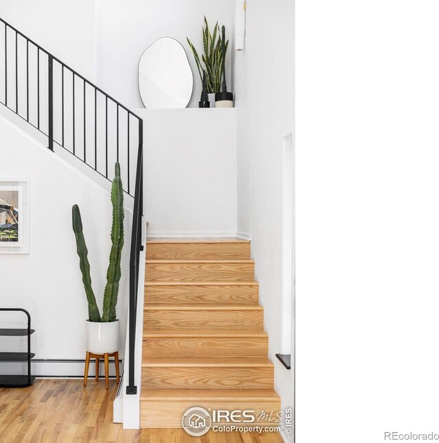 319 S Peak Rd, Boulder, CO 80302 - stairway featuring baseboards, wood finished floors, and a baseboard radiator