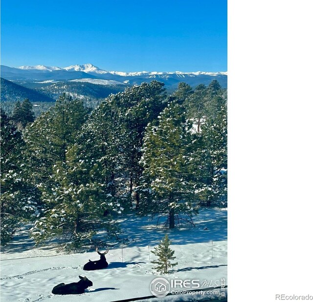 319 S Peak Rd, Boulder, CO 80302 - view of mountain feature