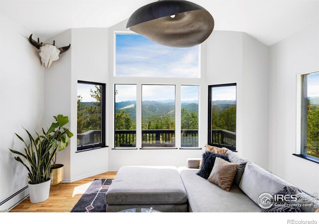 319 S Peak Rd, Boulder, CO 80302 - bedroom featuring a baseboard radiator and wood finished floors