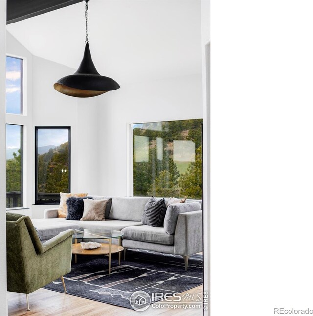 319 S Peak Rd, Boulder, CO 80302 - living room featuring wood finished floors and high vaulted ceiling