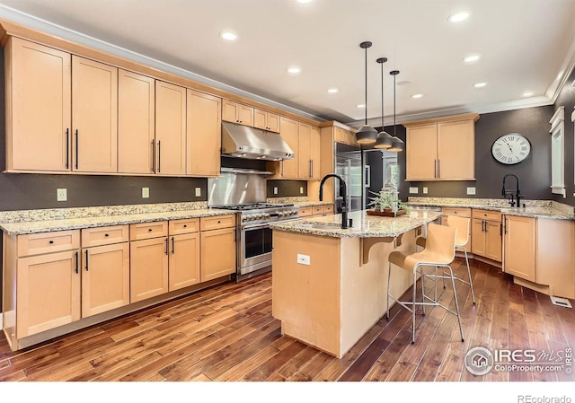 kitchen with high end appliances, under cabinet range hood, a center island with sink, and hardwood / wood-style floors