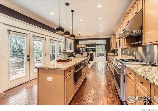 kitchen with crown molding, wood-type flooring, under cabinet range hood, light stone counters, and appliances with stainless steel finishes