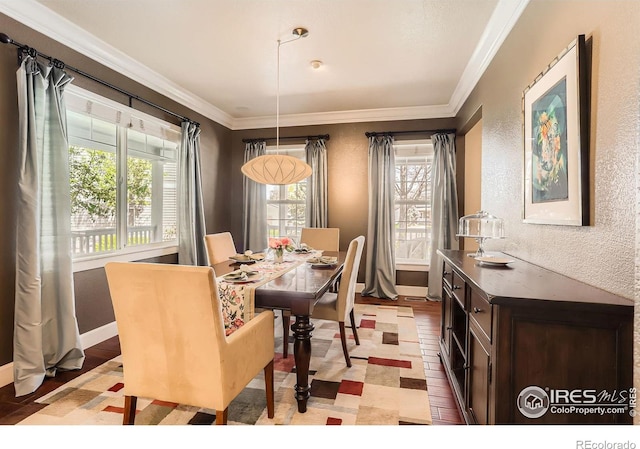 dining space with crown molding, baseboards, and plenty of natural light