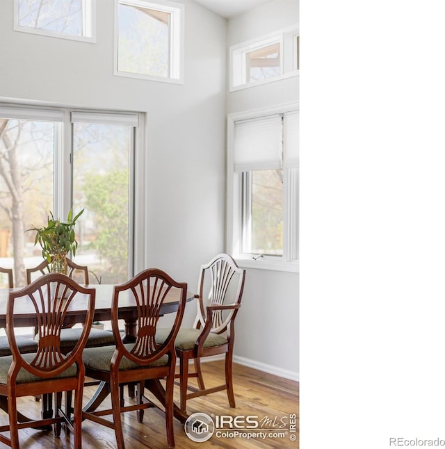 dining area featuring light wood-type flooring, plenty of natural light, baseboards, and a high ceiling