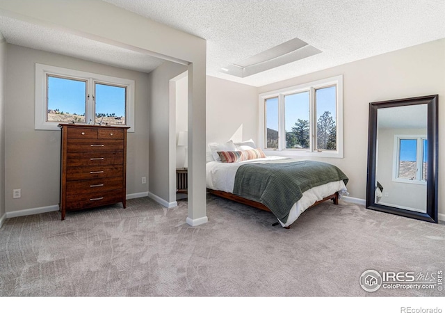319 Camino Bosque, Boulder, CO 80302 - bedroom with multiple windows, carpet floors, a textured ceiling, and baseboards