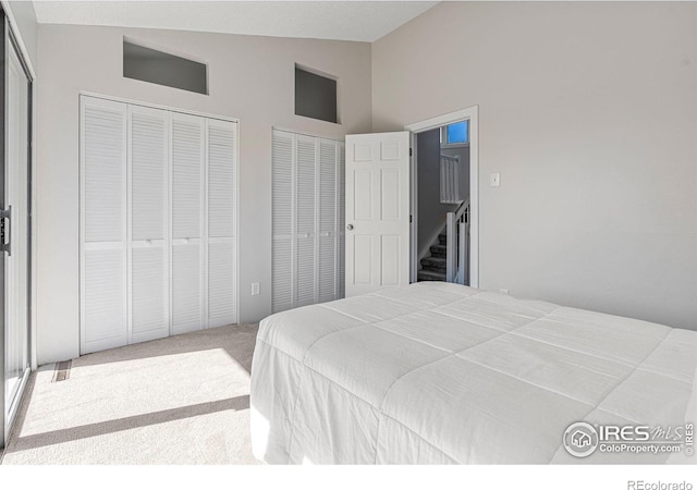 319 Camino Bosque, Boulder, CO 80302 - bedroom with lofted ceiling, two closets, and carpet floors