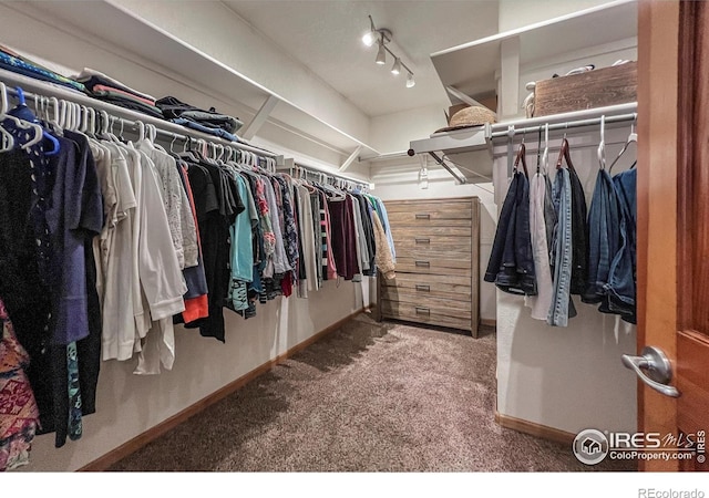 11669 Montgomery Cir, Longmont, CO 80504 - spacious closet featuring carpet flooring