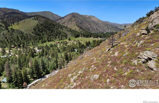 32160 Poudre Canyon Rd, Bellvue, CO 80512
