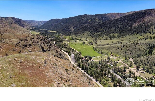 32160 Poudre Canyon Rd, Bellvue, CO 80512 - photo 11