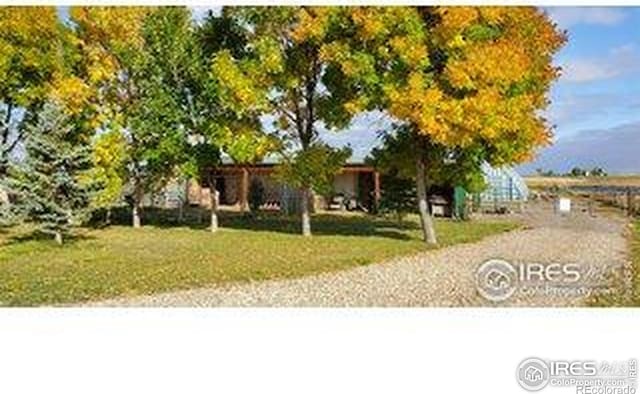 view of property hidden behind natural elements featuring a front lawn
