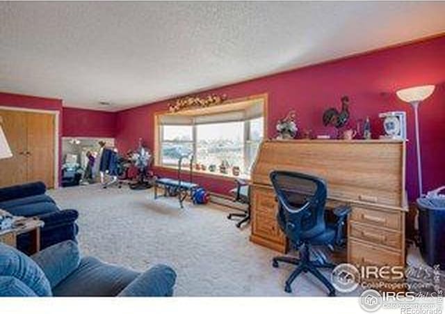 carpeted office with a textured ceiling