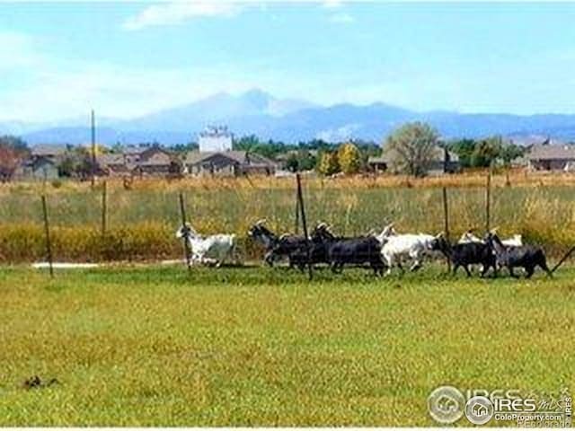 view of yard featuring a mountain view and a rural view