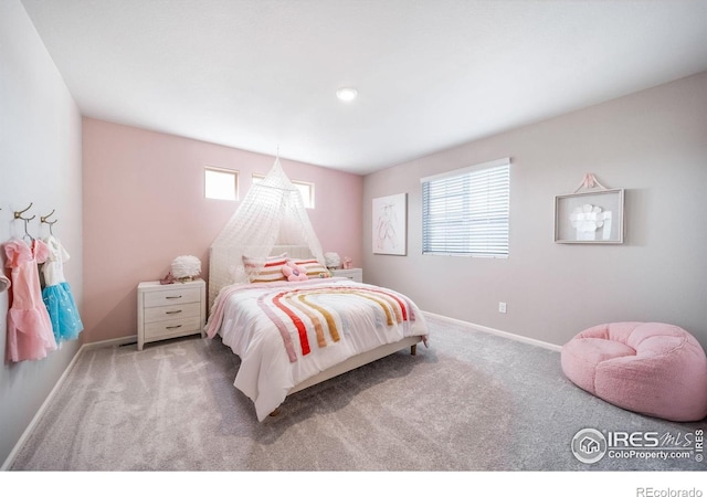 3892 Sprucewood Dr, Johnstown, CO 80534 - photo 20