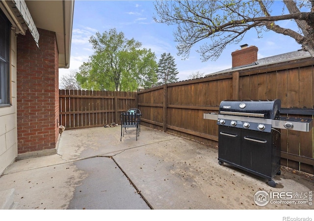 1183 38th Ave, Greeley, CO 80634 - fenced backyard featuring a grill and a patio