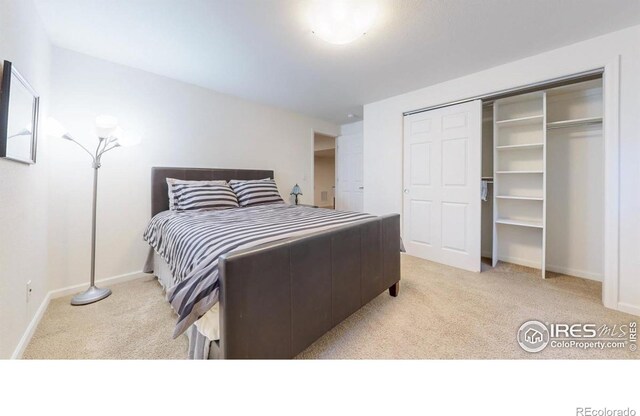 3632 Little Dipper Dr, Fort Collins, CO 80528 - photo 19