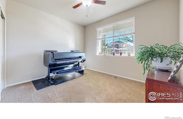 3632 Little Dipper Dr, Fort Collins, CO 80528 - photo 14