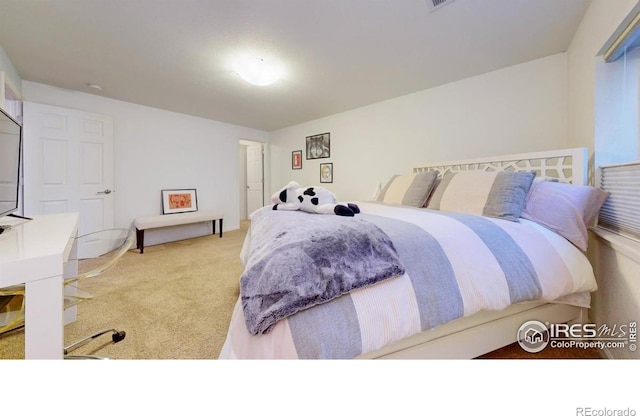 3632 Little Dipper Dr, Fort Collins, CO 80528 - photo 17