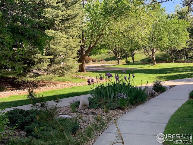 560 Mohawk Dr Unit 35, Boulder, CO 80303