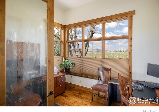 6224 Trevarton Dr, Longmont, CO 80503 - photo 16