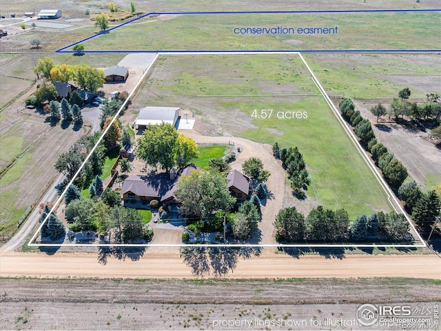 6224 Trevarton Dr, Longmont, CO 80503 - photo 36