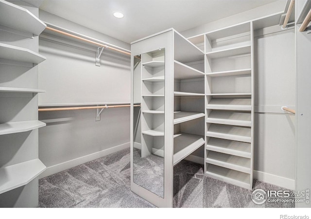 4121 Silene Pl, Loveland, CO 80537 - walk in closet with carpet floors