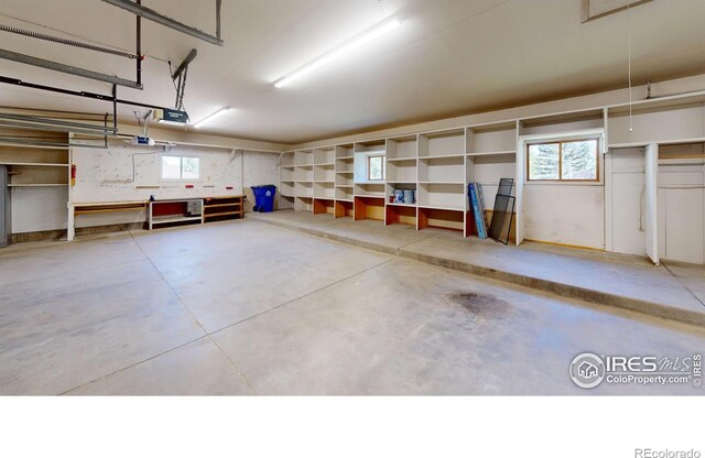 4121 Silene Pl, Loveland, CO 80537 - garage featuring a garage door opener