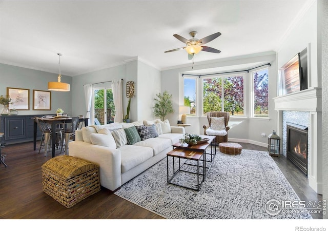 living area featuring a ceiling fan, dark wood finished floors, a glass covered fireplace, and crown molding