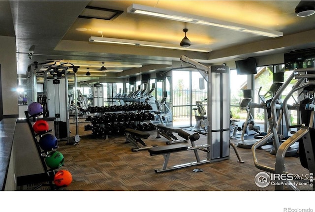 6386 Mayfair Ave, Timnath, CO 80547 - exercise room featuring carpet floors and a raised ceiling