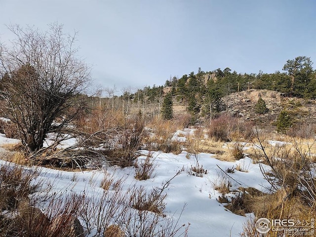 151 Ada Ct, Red Feather Lakes, CO 80545
