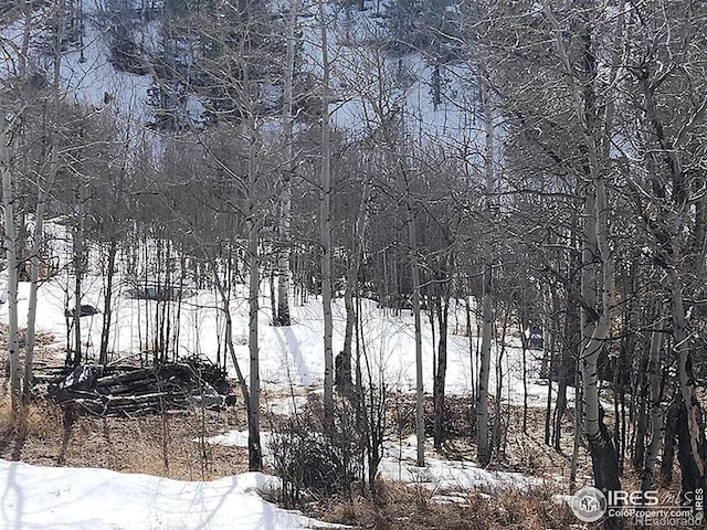 151 Ada Ct, Red Feather Lakes, CO 80545