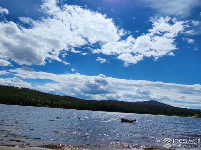 151 Ada Ct, Red Feather Lakes, CO 80545