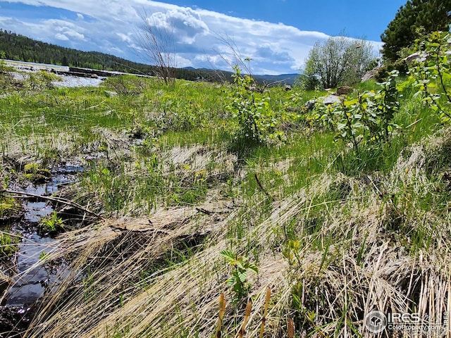 151 Ada Ct, Red Feather Lakes, CO 80545