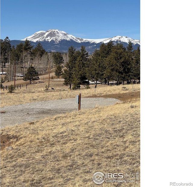 2841 Singletree Rd, Hartsel, CO 80449