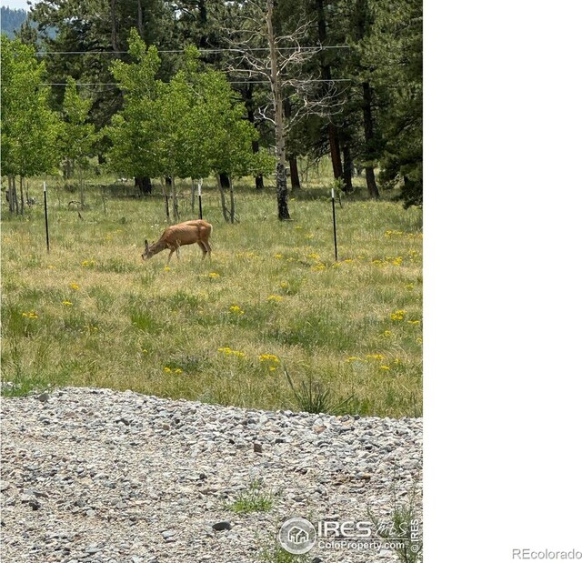 2841 Singletree Rd, Hartsel, CO 80449