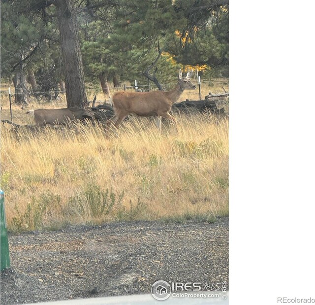 2841 Singletree Rd, Hartsel, CO 80449